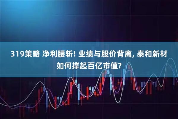 319策略 净利腰斩! 业绩与股价背离, 泰和新材如何撑起百亿市值?
