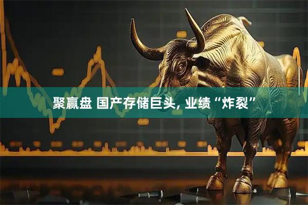 聚赢盘 国产存储巨头, 业绩“炸裂”