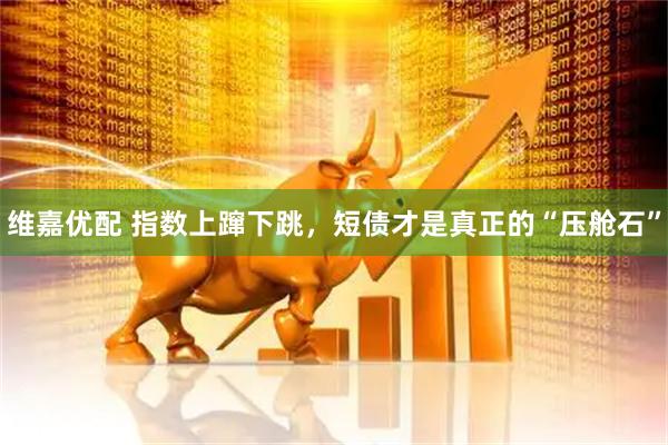 维嘉优配 指数上蹿下跳，短债才是真正的“压舱石”