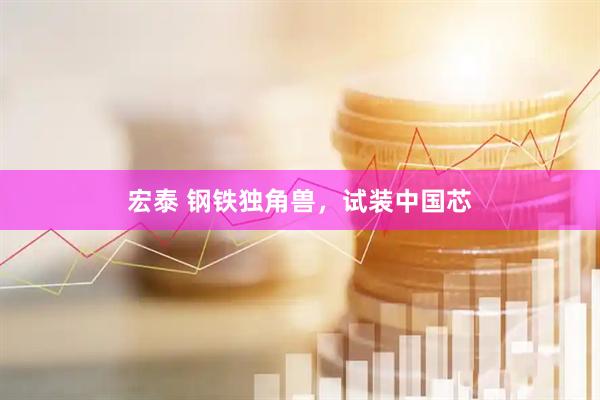 宏泰 钢铁独角兽，试装中国芯