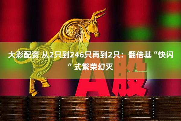 大彩配资 从2只到246只再到2只：翻倍基“快闪”式繁荣幻灭